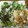 hanahana♪'s cooksnap of when they made さくっと揚がる♪鶏肉と野菜の天ぷら.