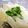 ◆◇Wtiti＊◇◆'s cooksnap of when they made 高野豆腐の卵とじ★☆.