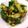 ゆりYO船長's cooksnap of when they made 簡単！5分deきゅうりの梅昆布和え.