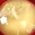RINAmatin's cooksnap of when they made 大根 豆腐 ワカメ 具だくさん牛肉スープ.