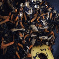 ずよょ's cooksnap of when they made 意外と簡単！ひじきの煮物.