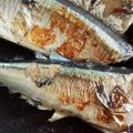 るてぃす's cooksnap of when they made 秋刀魚の塩焼き。TVで見た綺麗焼ける方法.