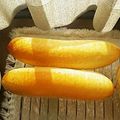 ちょこ✪0214's cooksnap of when they made ドックパン・コッペパン？.