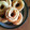sakacaka's cooksnap of when they made 簡単！ふわふわ とうふドーナツ♪.