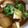 スティッチ〜♫'s cooksnap of when they made ♪我が家の豚汁♪.