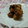 クック53VNXY☆'s cooksnap of when they made ふーちゃんの唐揚げ.