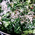 おおなべ's cooksnap of when they made 大根菜としらす干しの炒め煮.
