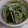 ぷっちかおりんご's cooksnap of when they made 即席スープ＃1ヤマサ･白だしつゆ(顆粒).