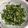 ザラシの家's cooksnap of when they made オクラの胡麻和え.