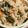 あさここなっつ's cooksnap of when they made ➏　おからの炊いたん　➏.