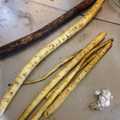 リラシャン's cooksnap of when they made とっても簡単♪ゴボウの皮むき.