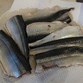 ハンクスさん's cooksnap of when they made さんまの三枚おろし腹骨の取り方.