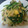 きむま's cooksnap of when they made 豚肉とほうれん草のカレー炒め.