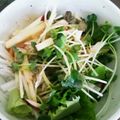 ささなお's cooksnap of when they made ふじりんごと大根、かいわれのサラダ。.