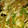 umeko0719's cooksnap of when they made きのこと蕪のさっぱりトマトいため.