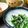 ののねこ＆壱's cooksnap of when they made じゃことほうれん草の和風ナムル.