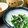 ののねこ＆壱's cooksnap of when they made じゃことほうれん草の和風ナムル.