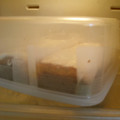 Cookingmam's cooksnap of when they made *ケーキの保管・持ち運び.