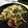 あゆらぶ★'s cooksnap of when they made 早い！簡単！節約！にらもやしオイスター.