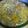 ucchiey's cooksnap of when they made 白菜×ミンチの とろとろ★.