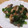 きらり流れ星's cooksnap of when they made さんまの蒲焼.