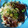 クックUAGG9E☆'s cooksnap of when they made 15分調理♪かつおのたたきで旨漬け丼♡.