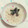 __キレネンコ__'s cooksnap of when they made 生姜の炊き込みごはん.
