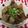 みかえ's cooksnap of when they made 圧力鍋を使って～牛スジのトロトロ煮込～.