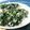 めろんぐまん's cooksnap of when they made 自分用☆ちりめんじゃことわかめの胡麻和え.
