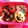 ＊むーとん＊'s cooksnap of when they made お弁当☆ミニトマト.