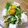 チョイコ's cooksnap of when they made モリモリ野菜を食べちゃうサラダ☆.