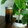ショコラデビル's cooksnap of when they made プルーン酵母をひと瓶使いきるまでの記録.