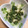 トミちー's cooksnap of when they made オクラと水菜の梅肉和え.