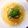 きゃみちゃん２'s cooksnap of when they made 超シンプル超簡単！大根ツナパスタ.
