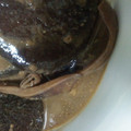 藍川咲's cooksnap of when they made イカと大根の柚子胡椒煮.