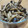 daikanon's cooksnap of when they made すぐできる！簡単しめじの佃煮.