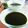 ＊ちいさなしま＊'s cooksnap of when they made 豆かん あんみつに抹茶蜜.