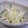 ふたごっち's cooksnap of when they made つまみにＧｏｏ＾ｍ＾ウドと鶏の和え物♪.