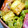 yoh2709's cooksnap of when they made お弁当用に♥竹輪とピーマンのカレー炒め.