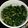 はぎゅー163's cooksnap of when they made 大根の葉とシーチキンのおかず味噌.