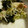 クックZ69KDS☆'s cooksnap of when they made *ワカメ・きゅうり・カニカマの酢の物*.