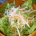 ☆meguchi☆'s cooksnap of when they made 豆苗と大根と人参のまぜまぜサラダ.