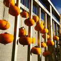 愛空まま's cooksnap of when they made 野菜ソムリエの、じゅんわり甘い、干し柿。.