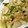 ぶぶろん's cooksnap of when they made 蓮根とニンニクの芽の炒め物.