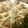 クックYWNEOK☆'s cooksnap of when they made 圧力鍋で作るにんじんシウマイ.
