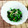 SP♪'s cooksnap of when they made ほうれん草としらすのおひたし.