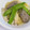 はっぴーはりぼ's cooksnap of when they made 手作りソーセージ.