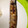 さっちゃん☆11's cooksnap of when they made 秋味☆さんまの塩焼きの焼き方.