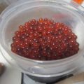 ぽんぽん堂's cooksnap of when they made お家で簡単☆いくら醤油漬け.