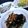 itreal's cooksnap of when they made シンプルひじきの煮物.